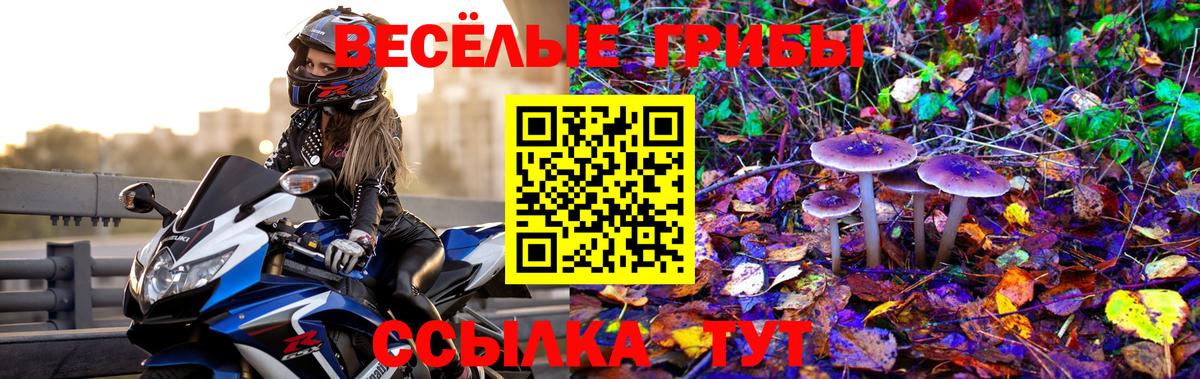 Галлюциногенные грибы Psilocybine cubensis  Вход с VPN  Кизляр 