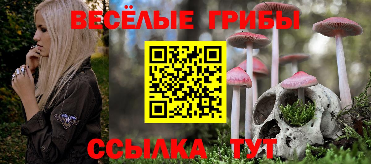 Мефедрон Кизляр